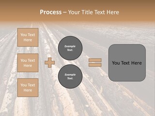 Timber Lumber Trunk Of Tree PowerPoint Template