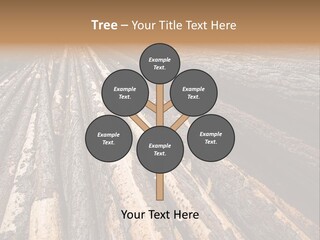 Timber Lumber Trunk Of Tree PowerPoint Template