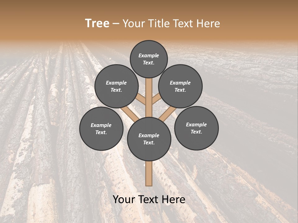 Timber Lumber Trunk Of Tree PowerPoint Template