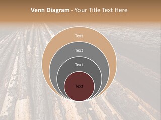 Timber Lumber Trunk Of Tree PowerPoint Template