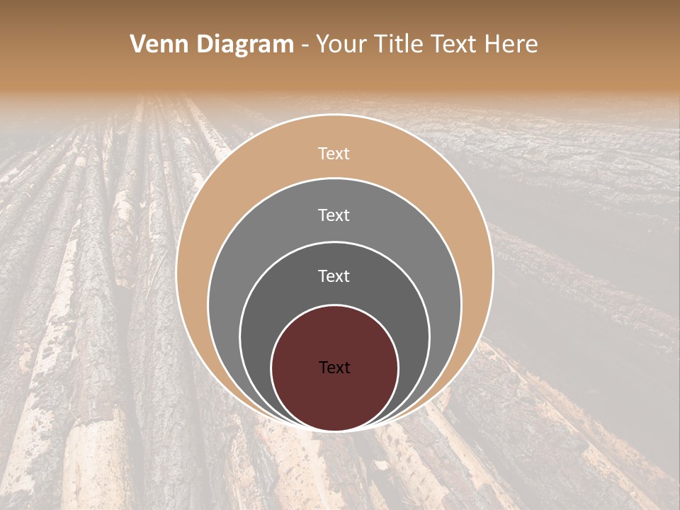 Timber Lumber Trunk Of Tree PowerPoint Template
