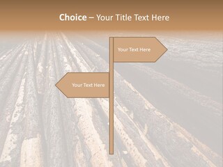 Timber Lumber Trunk Of Tree PowerPoint Template