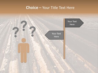 Timber Lumber Trunk Of Tree PowerPoint Template