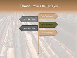 Timber Lumber Trunk Of Tree PowerPoint Template