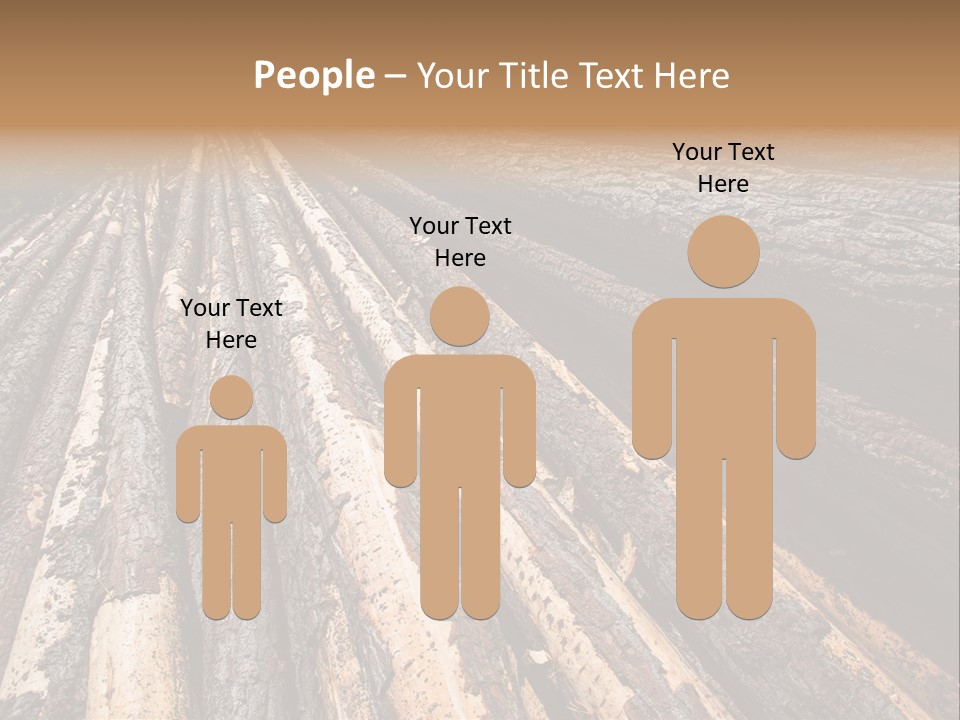 Timber Lumber Trunk Of Tree PowerPoint Template