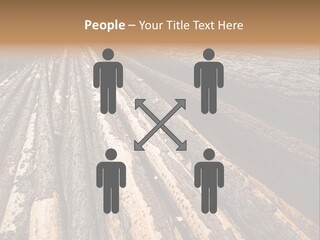 Timber Lumber Trunk Of Tree PowerPoint Template