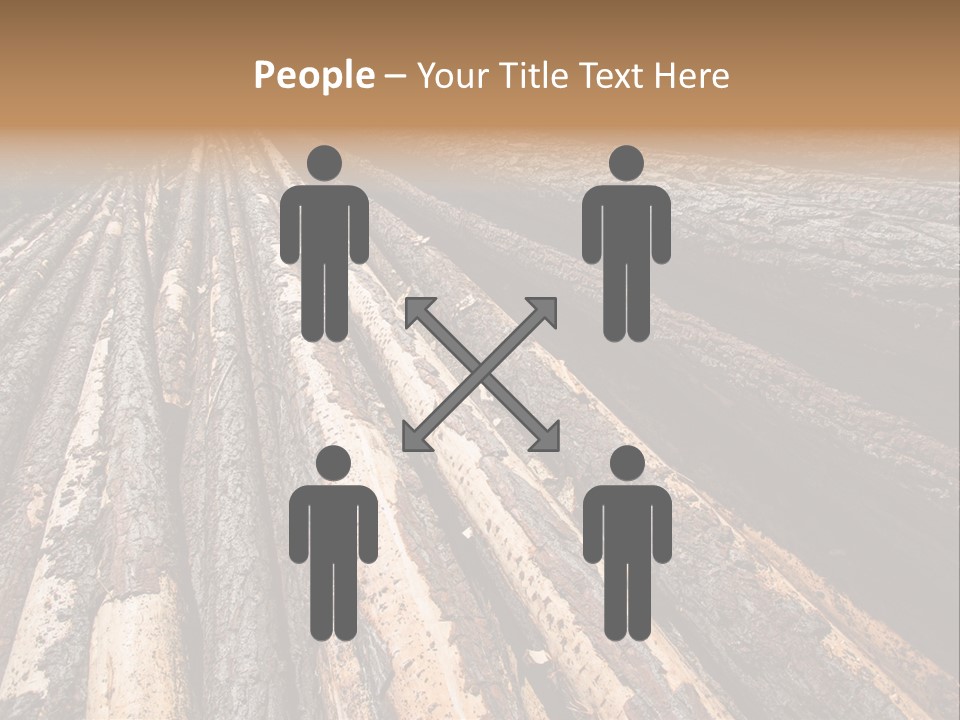 Timber Lumber Trunk Of Tree PowerPoint Template