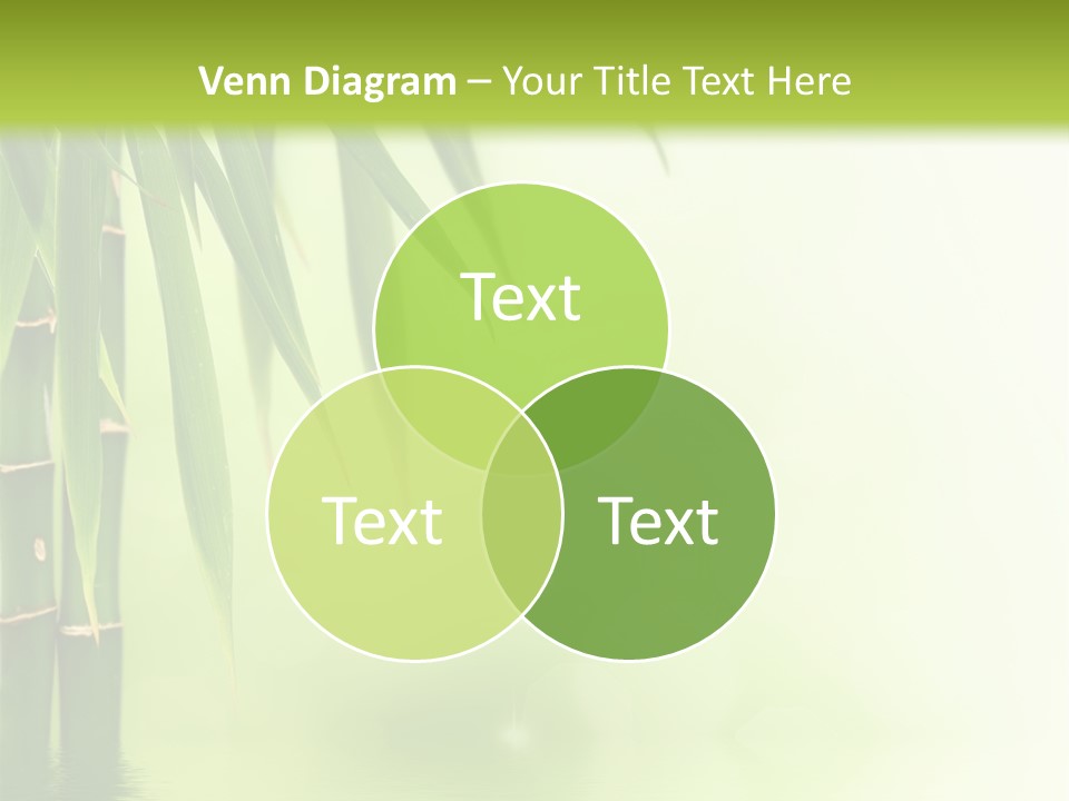 Reflection Background Design PowerPoint Template