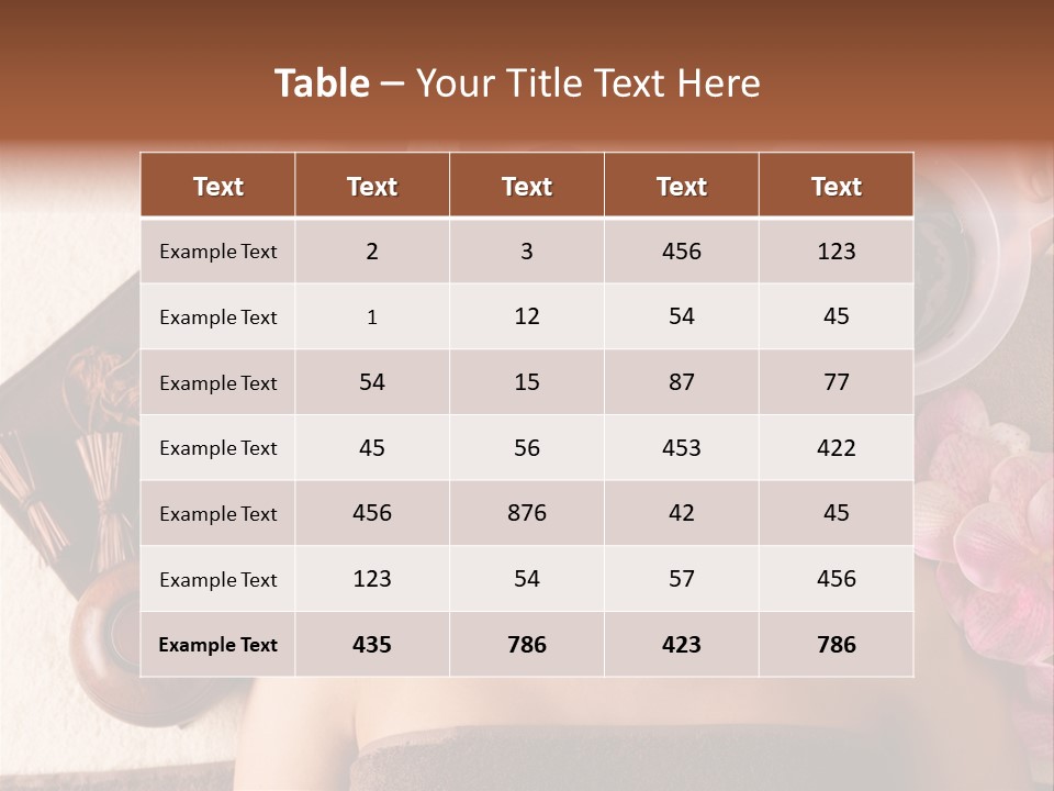 Facial Mask Spa Treatment Hot Stone PowerPoint Template