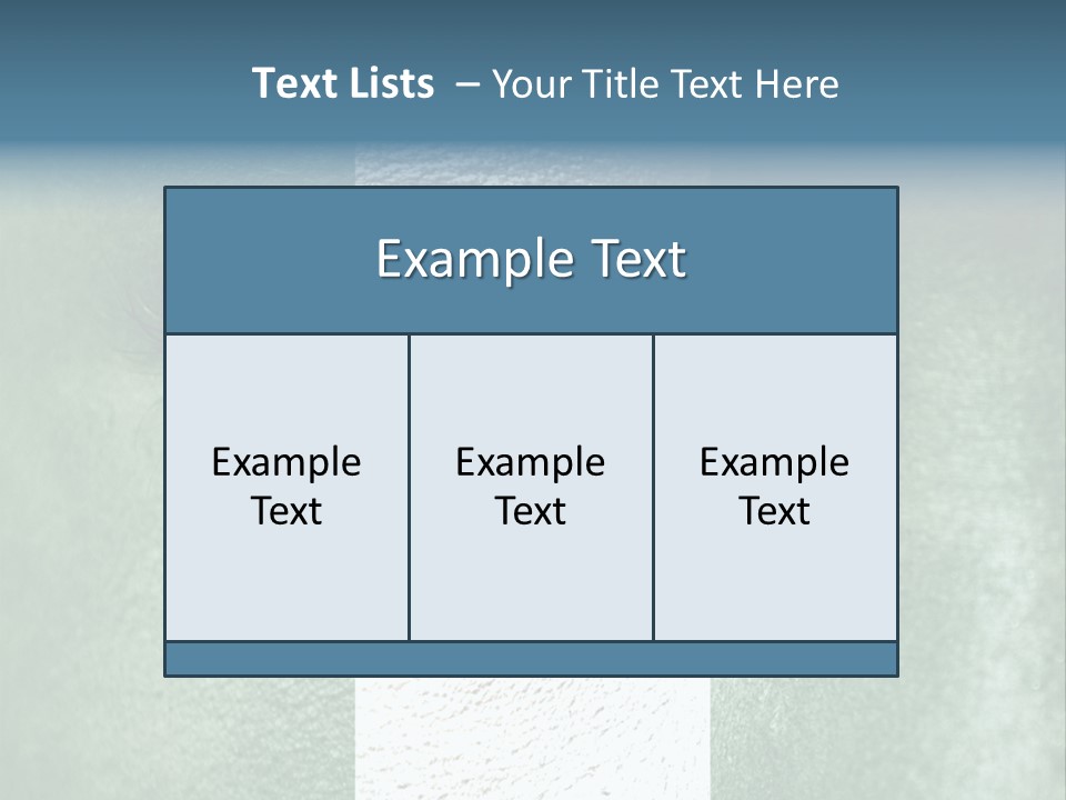Fan Background Freedom PowerPoint Template