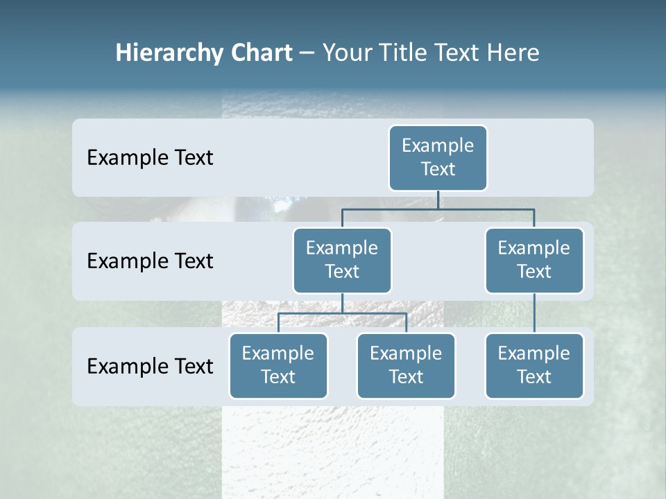 Fan Background Freedom PowerPoint Template