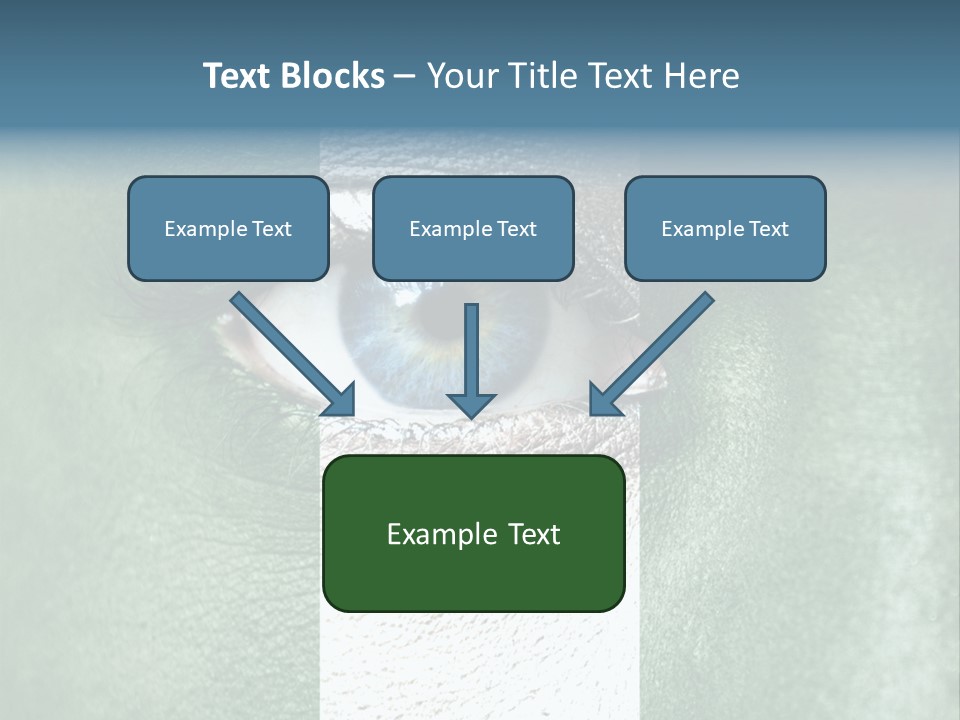 Fan Background Freedom PowerPoint Template