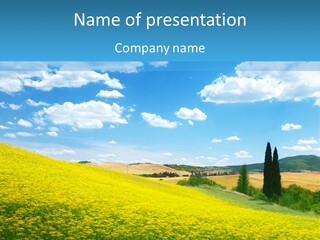 Flower Beauty Grassland PowerPoint Template