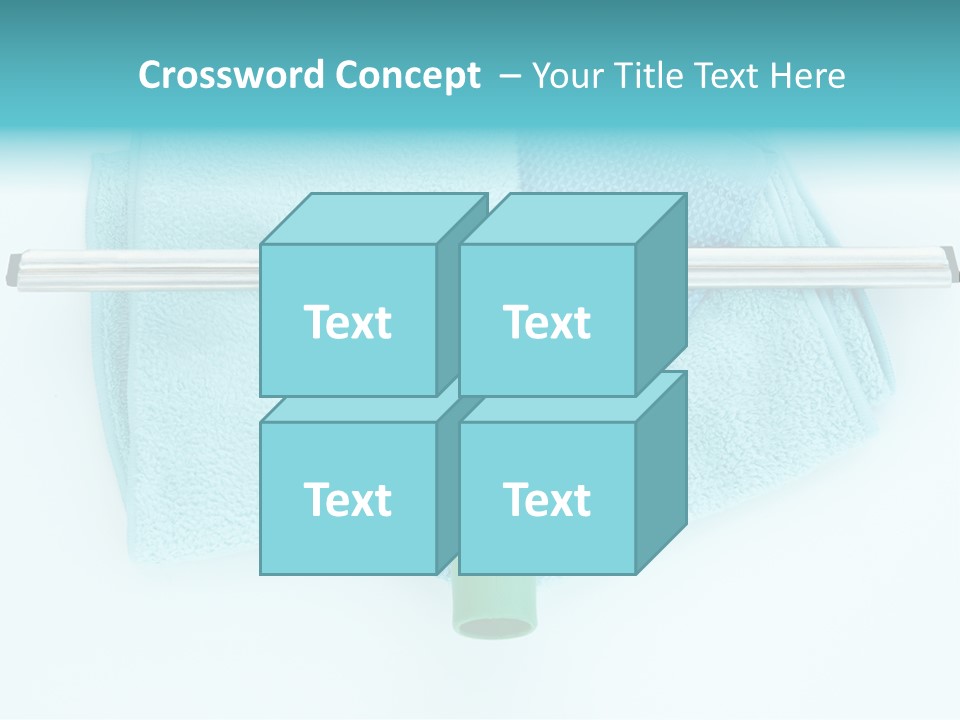 Household Wet Women PowerPoint Template