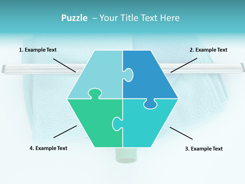 Household Wet Women PowerPoint Template