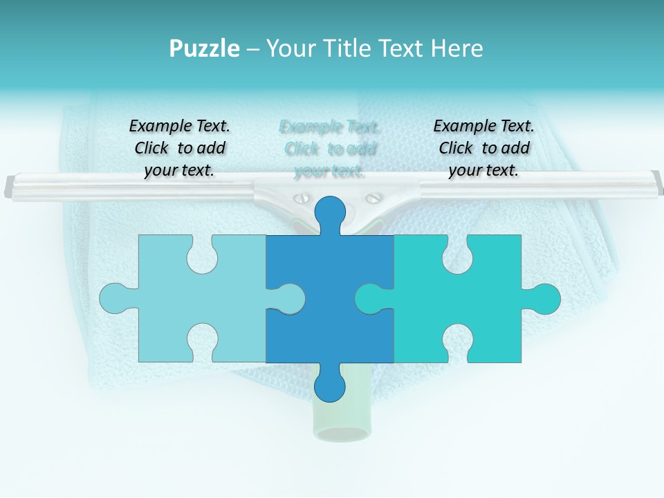 Household Wet Women PowerPoint Template