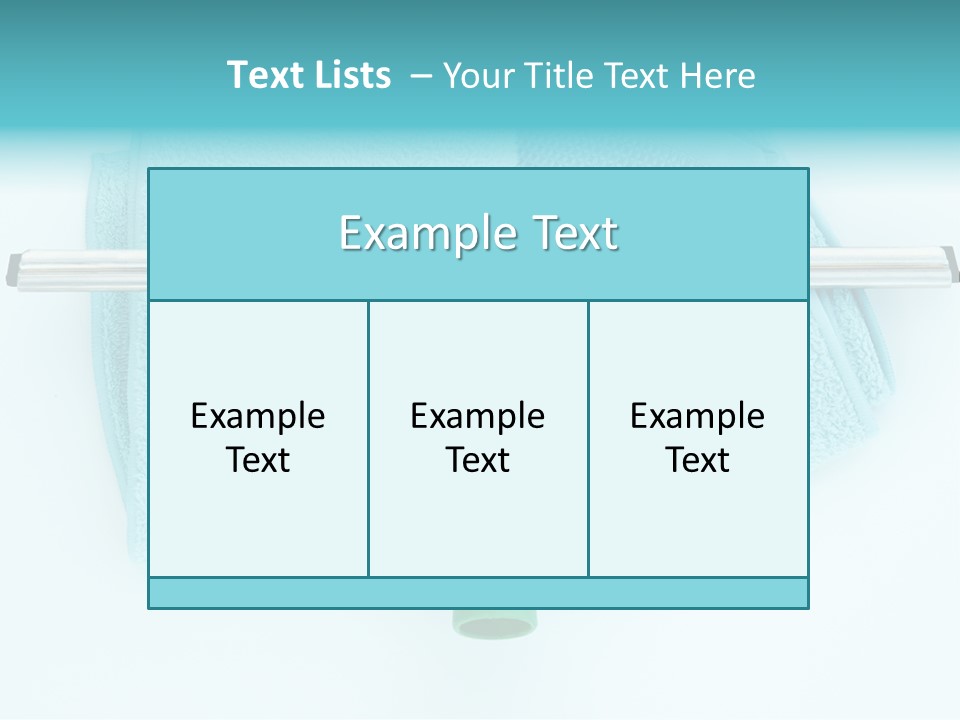 Household Wet Women PowerPoint Template