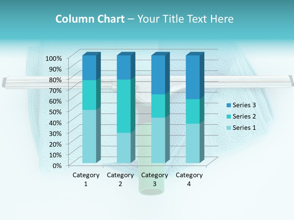 Household Wet Women PowerPoint Template