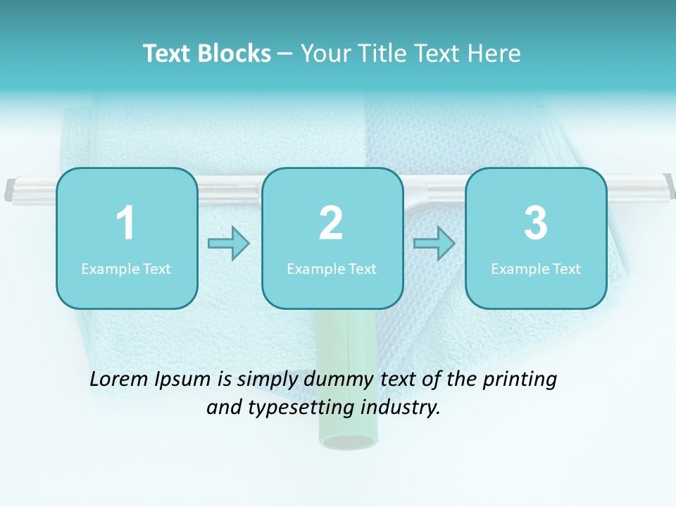 Household Wet Women PowerPoint Template