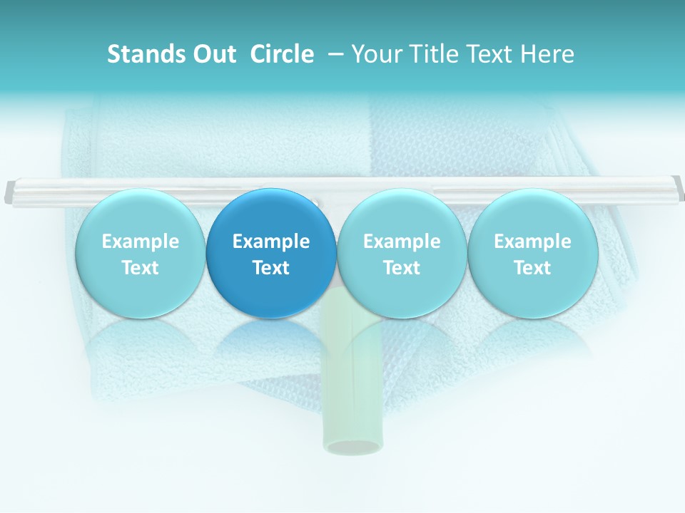 Household Wet Women PowerPoint Template