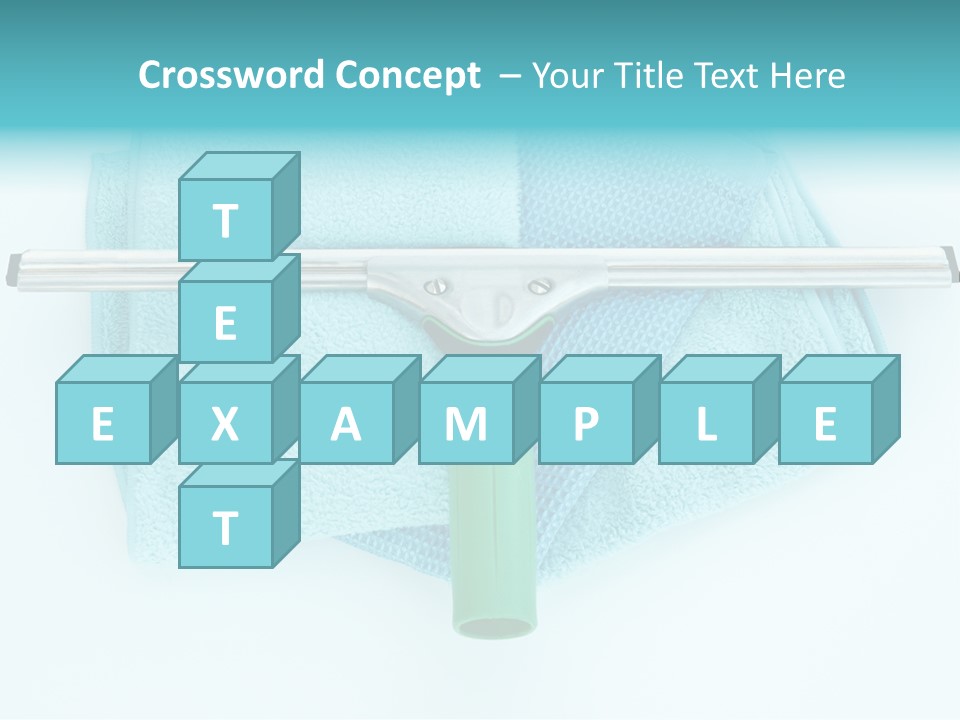 Household Wet Women PowerPoint Template