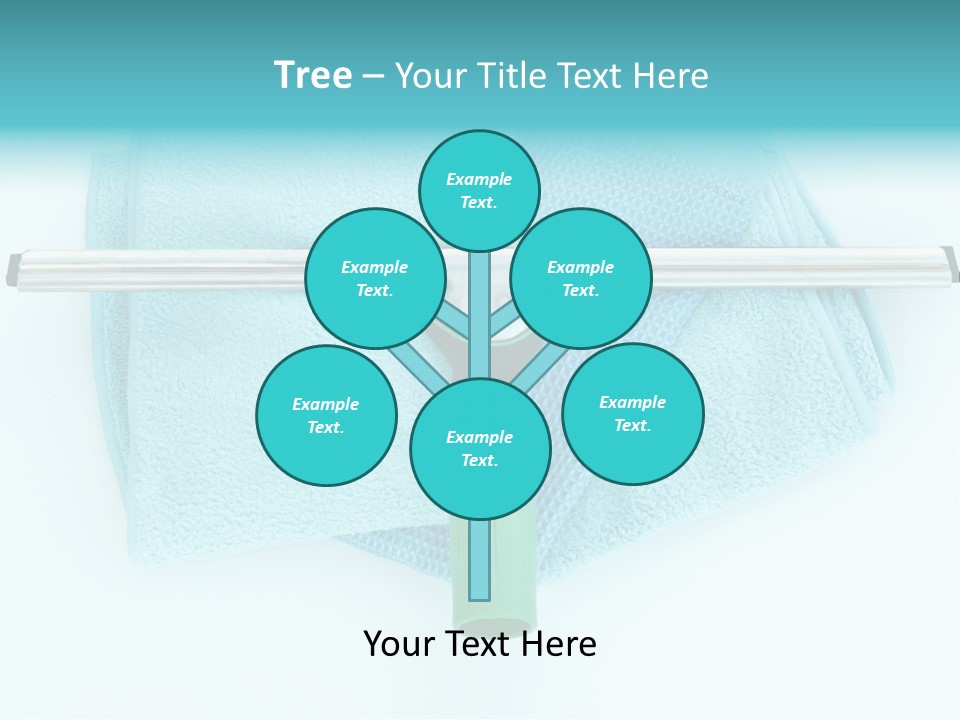 Household Wet Women PowerPoint Template