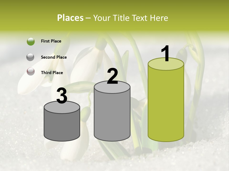 A Group Of Snowdrops In The Snow On A Sunny Day PowerPoint Template