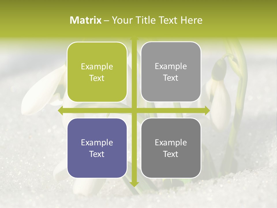 A Group Of Snowdrops In The Snow On A Sunny Day PowerPoint Template