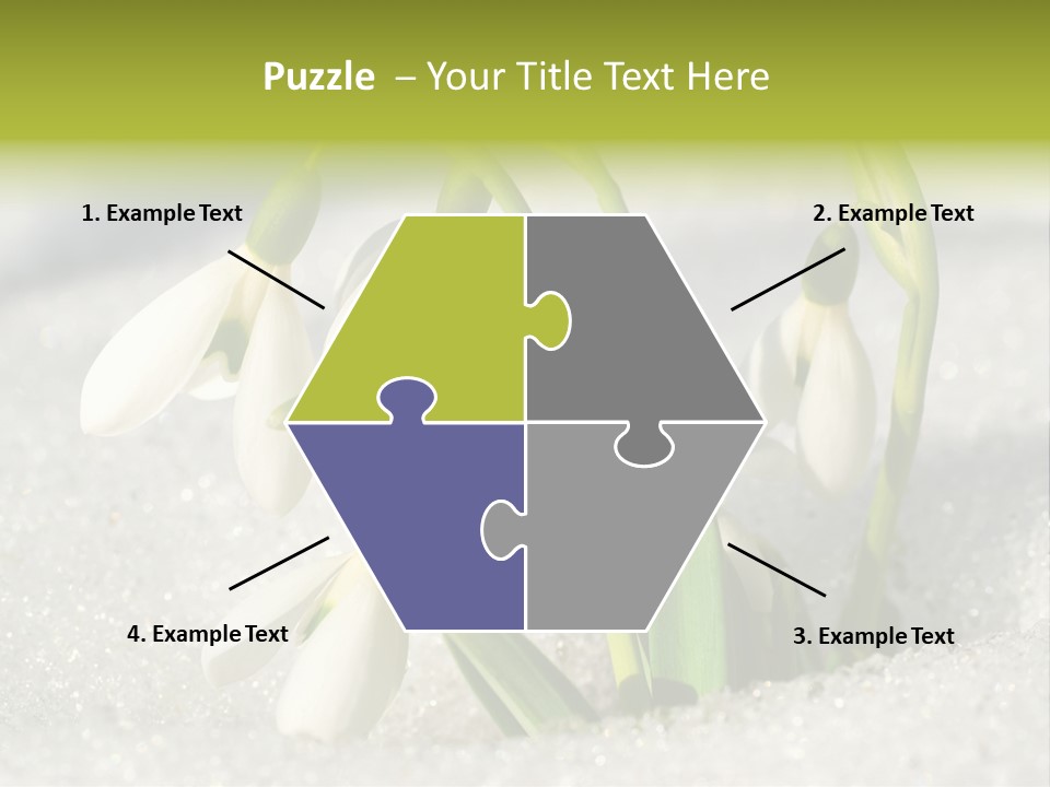 A Group Of Snowdrops In The Snow On A Sunny Day PowerPoint Template