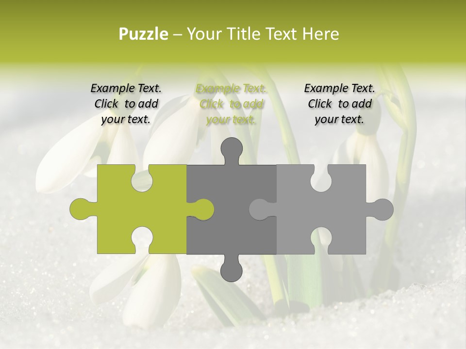 A Group Of Snowdrops In The Snow On A Sunny Day PowerPoint Template