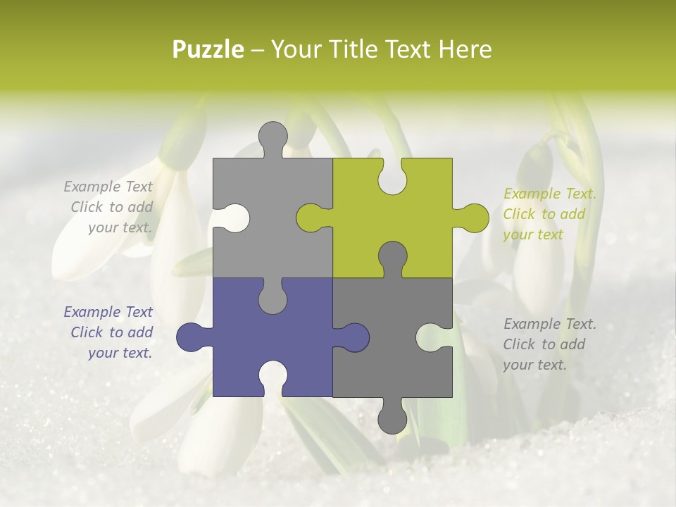 A Group Of Snowdrops In The Snow On A Sunny Day PowerPoint Template