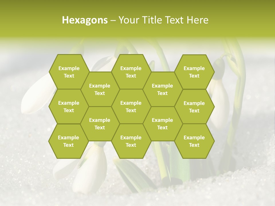 A Group Of Snowdrops In The Snow On A Sunny Day PowerPoint Template