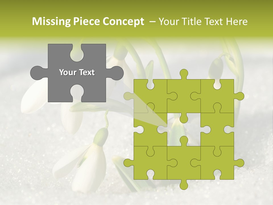A Group Of Snowdrops In The Snow On A Sunny Day PowerPoint Template