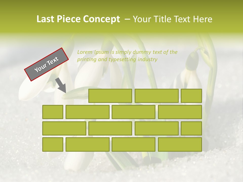 A Group Of Snowdrops In The Snow On A Sunny Day PowerPoint Template