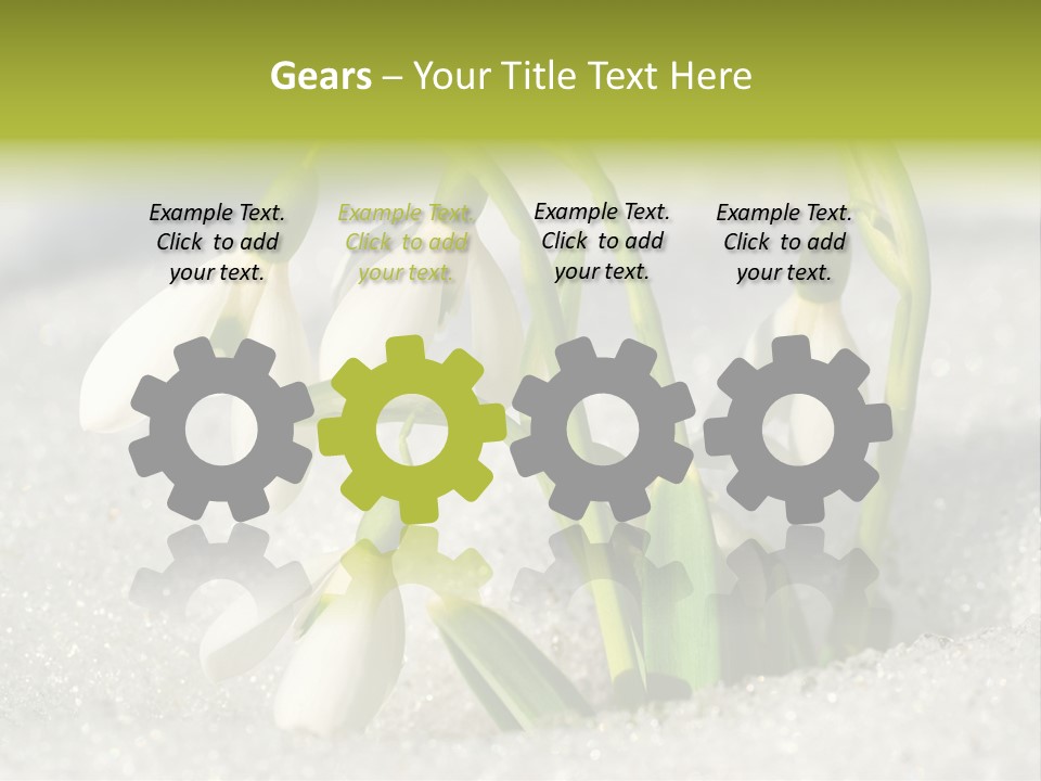 A Group Of Snowdrops In The Snow On A Sunny Day PowerPoint Template