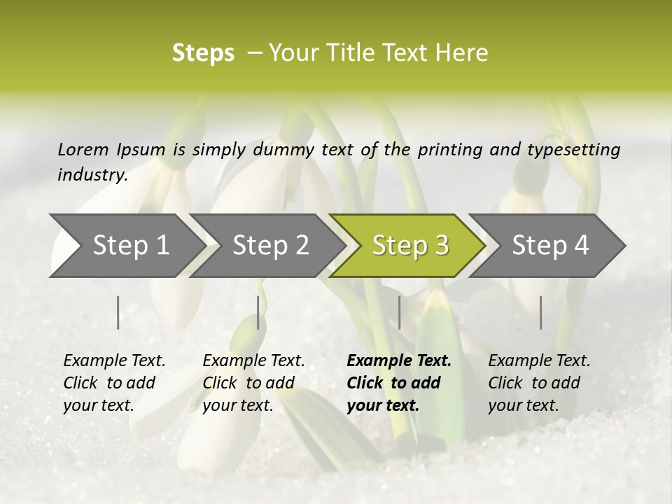A Group Of Snowdrops In The Snow On A Sunny Day PowerPoint Template