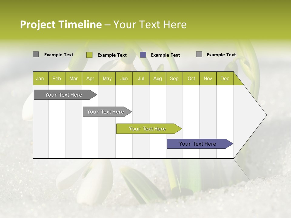 A Group Of Snowdrops In The Snow On A Sunny Day PowerPoint Template