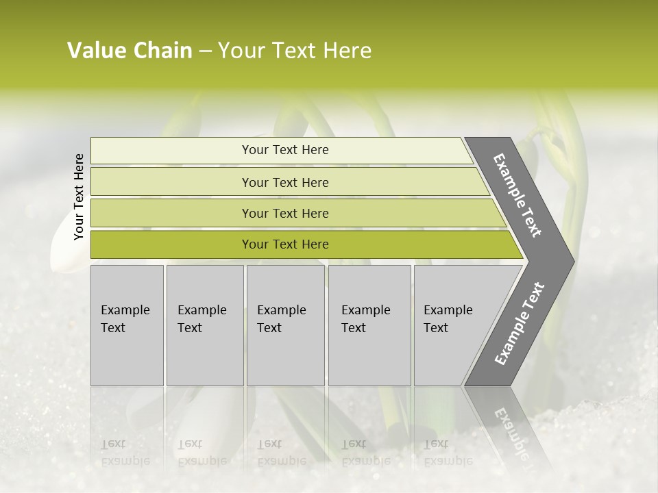 A Group Of Snowdrops In The Snow On A Sunny Day PowerPoint Template