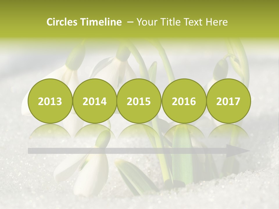 A Group Of Snowdrops In The Snow On A Sunny Day PowerPoint Template