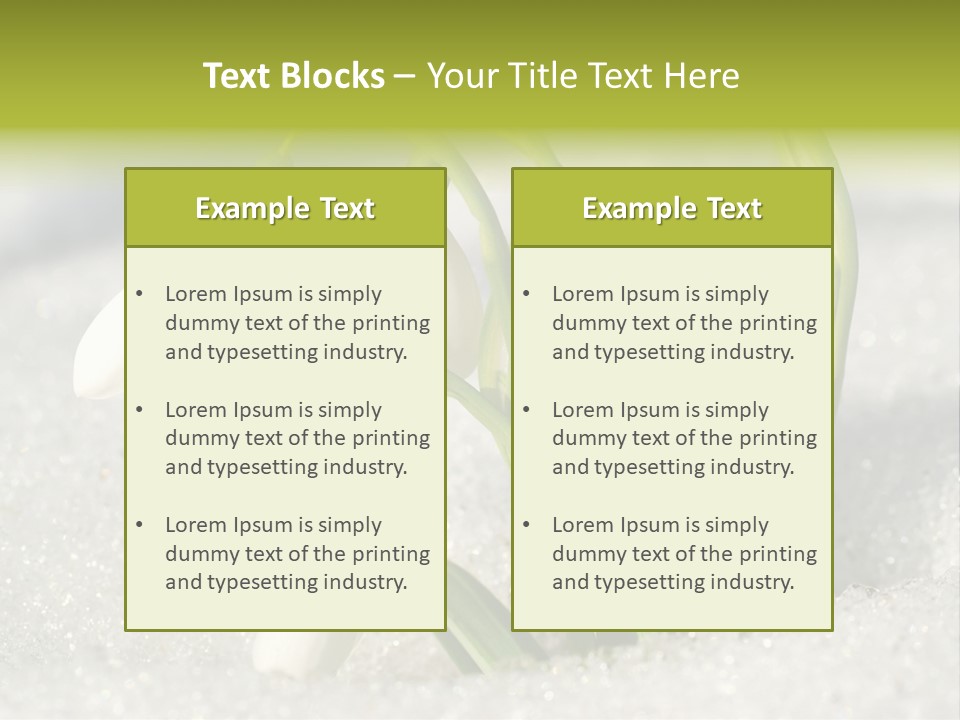 A Group Of Snowdrops In The Snow On A Sunny Day PowerPoint Template