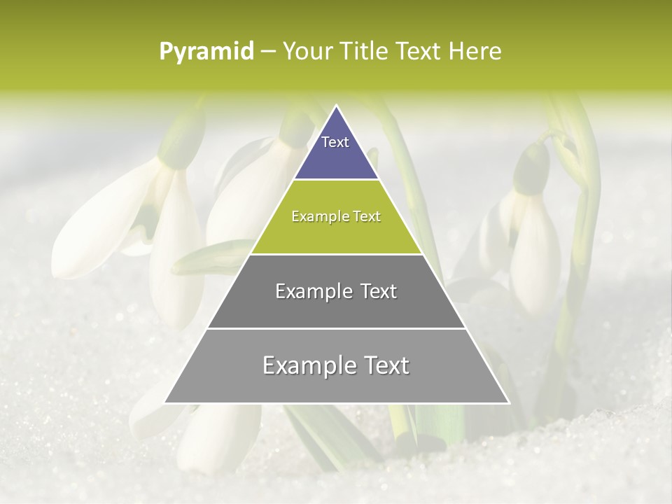 A Group Of Snowdrops In The Snow On A Sunny Day PowerPoint Template