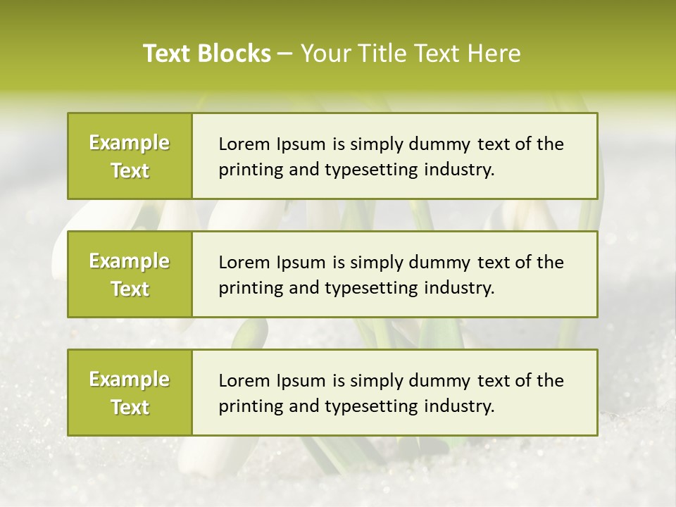A Group Of Snowdrops In The Snow On A Sunny Day PowerPoint Template
