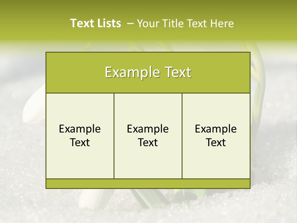 A Group Of Snowdrops In The Snow On A Sunny Day PowerPoint Template