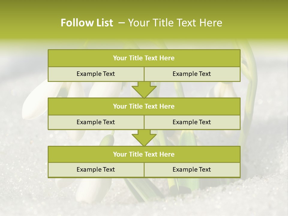 A Group Of Snowdrops In The Snow On A Sunny Day PowerPoint Template