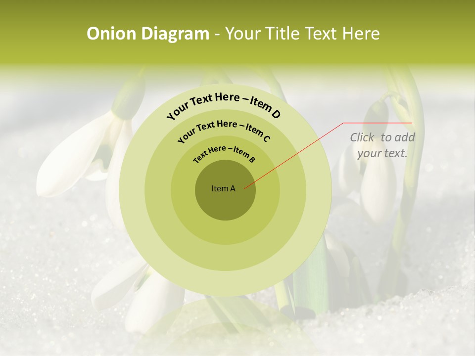 A Group Of Snowdrops In The Snow On A Sunny Day PowerPoint Template