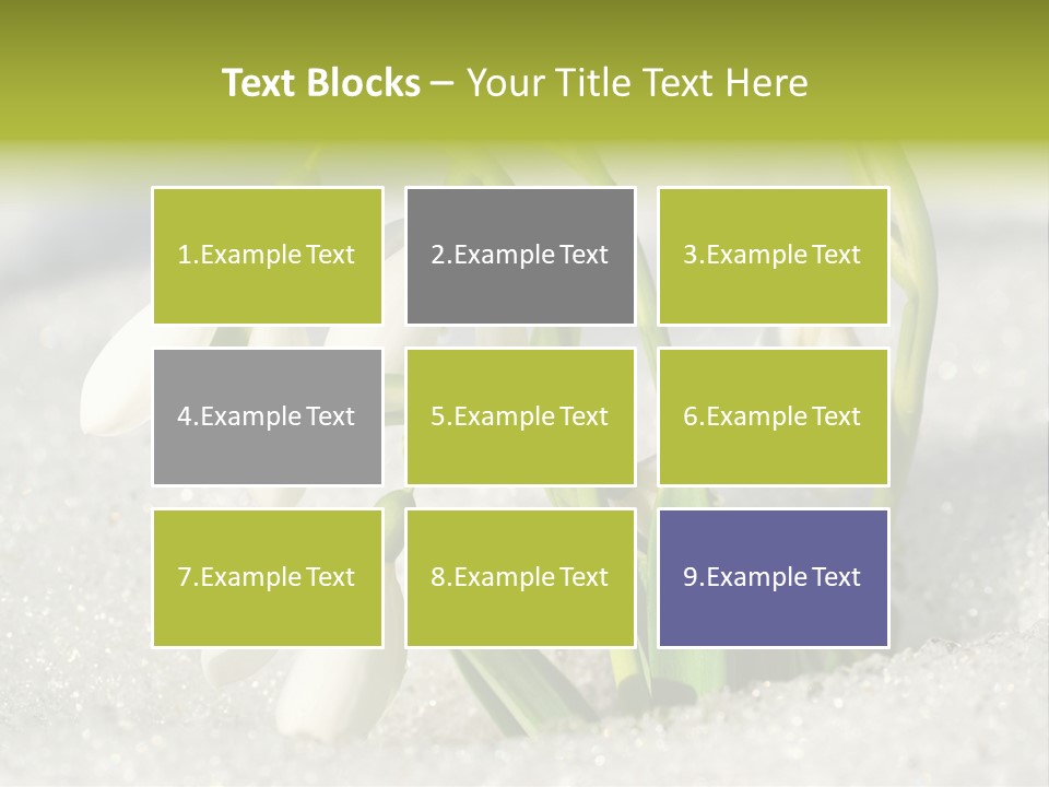 A Group Of Snowdrops In The Snow On A Sunny Day PowerPoint Template