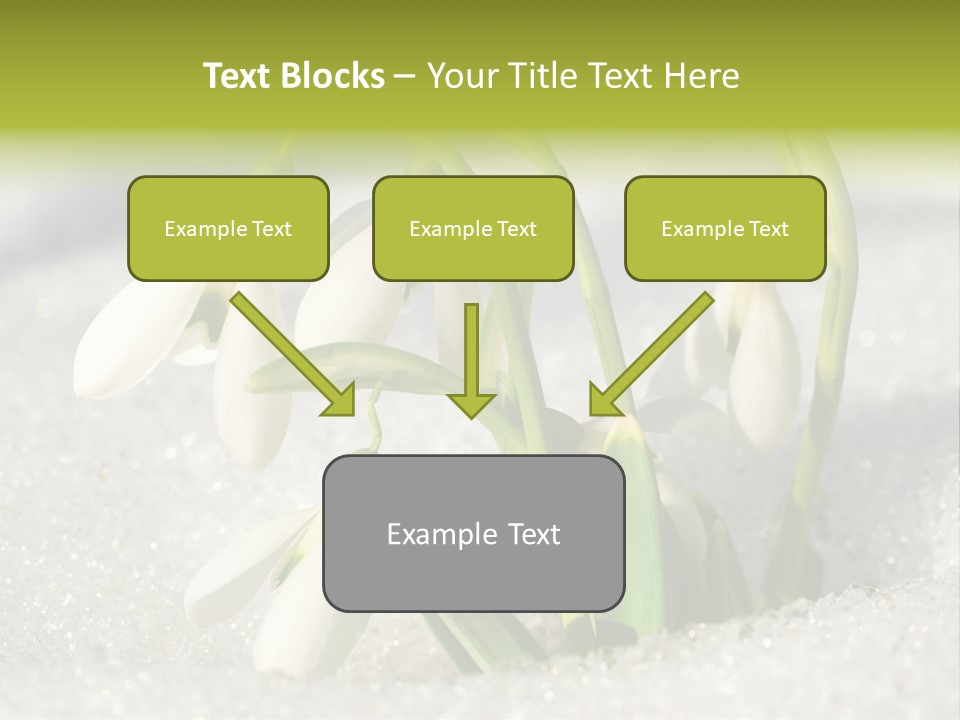A Group Of Snowdrops In The Snow On A Sunny Day PowerPoint Template