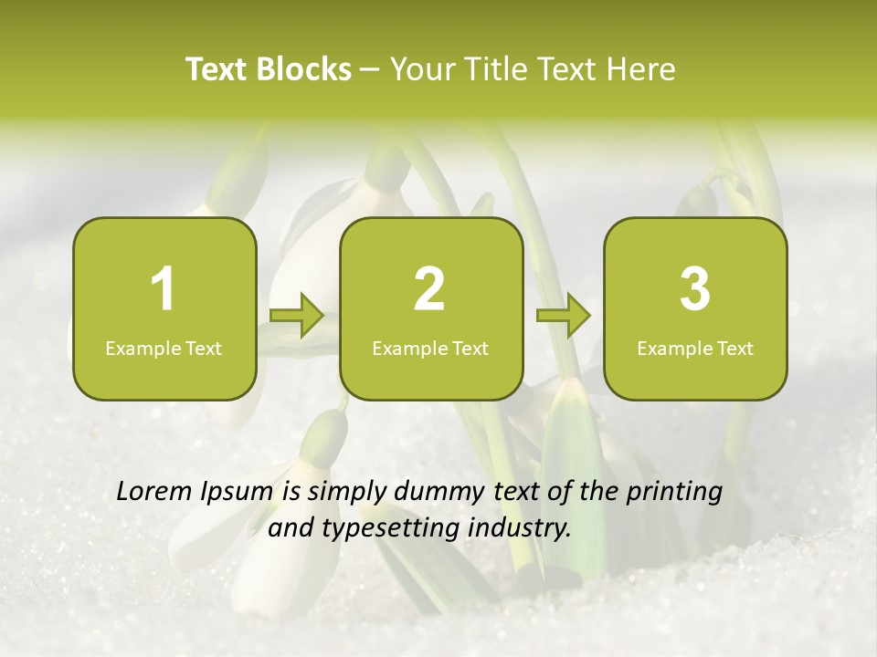 A Group Of Snowdrops In The Snow On A Sunny Day PowerPoint Template
