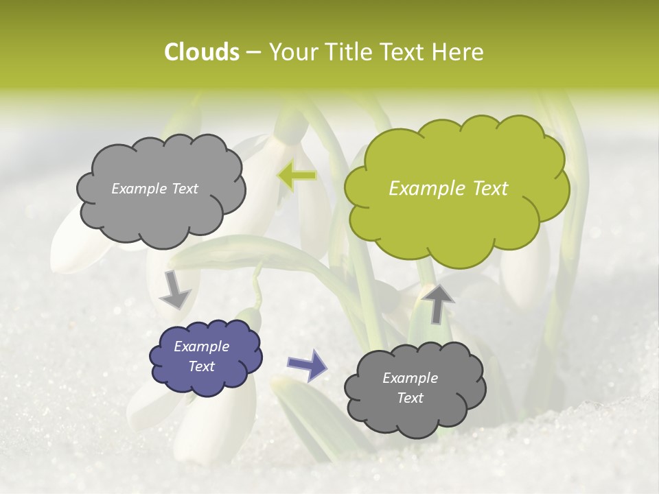 A Group Of Snowdrops In The Snow On A Sunny Day PowerPoint Template