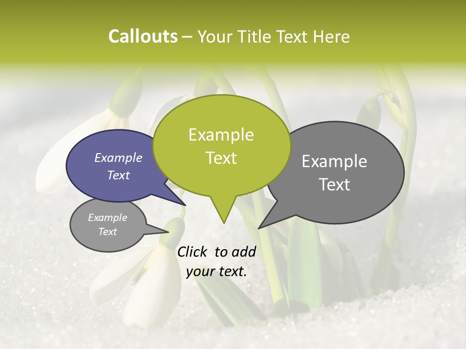A Group Of Snowdrops In The Snow On A Sunny Day PowerPoint Template
